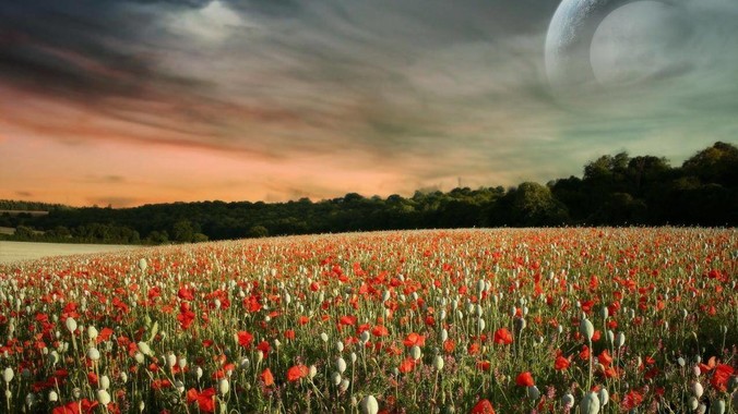 敢不敢留下你手机里第3张照片?